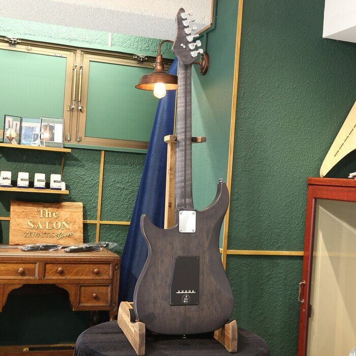  бесплатная доставка новый товар Vigier Guitars vi je электрогитара Excalibur Special VE6-CVSP1 Velours Noir/Rosewood Fingerboard осмотр товар отрегулирован отгрузка 