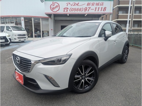 CX-3 2.0 20S プロアクティブ 純正ナビ　バックカメラ