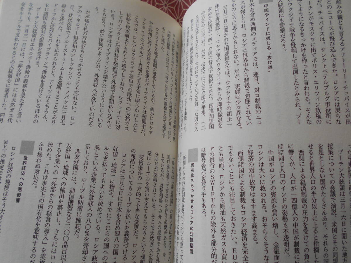 ★『世界』臨時増刊　ウクライナ侵略戦争　世界秩序の危機★太平洋戦争などミリタリーに興味がある方いかがでしょうか。そのうち日本も_画像9
