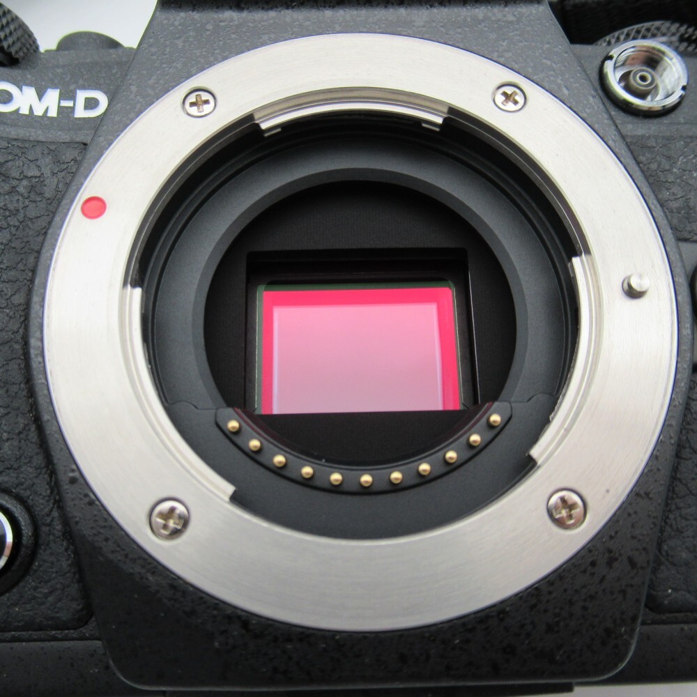 1円? OLYMPUS オリンパス OM-D E-M5II ミラーレス一眼カメラ 14-150mm 1:4-5.6 ケース付 動作未確認 現(xiàn)狀品 3834703