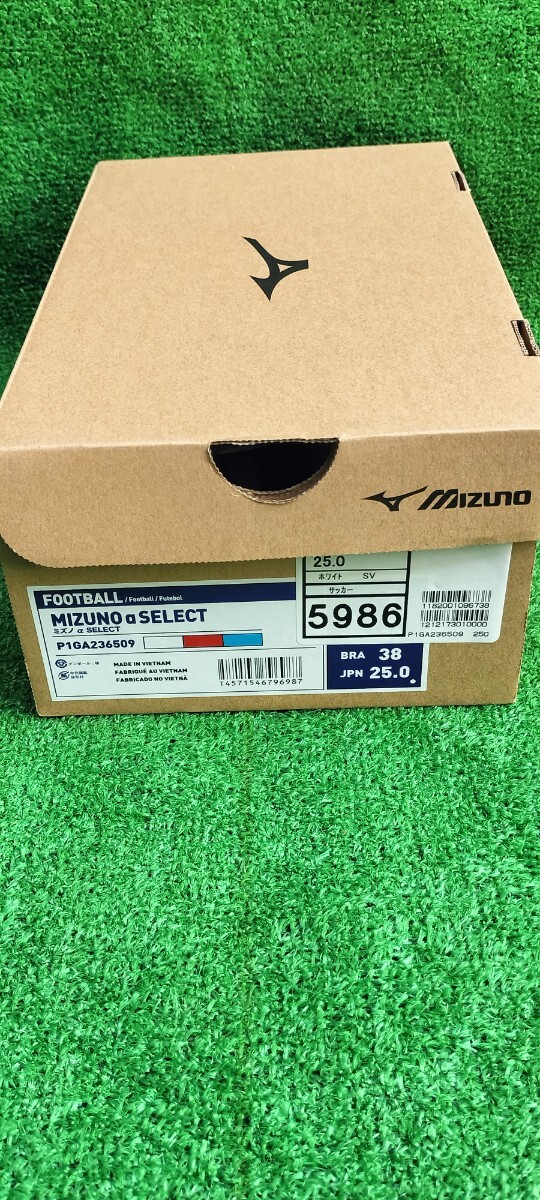 Mizuno футбол обувь Alpha P1GA236509 25.0cm
