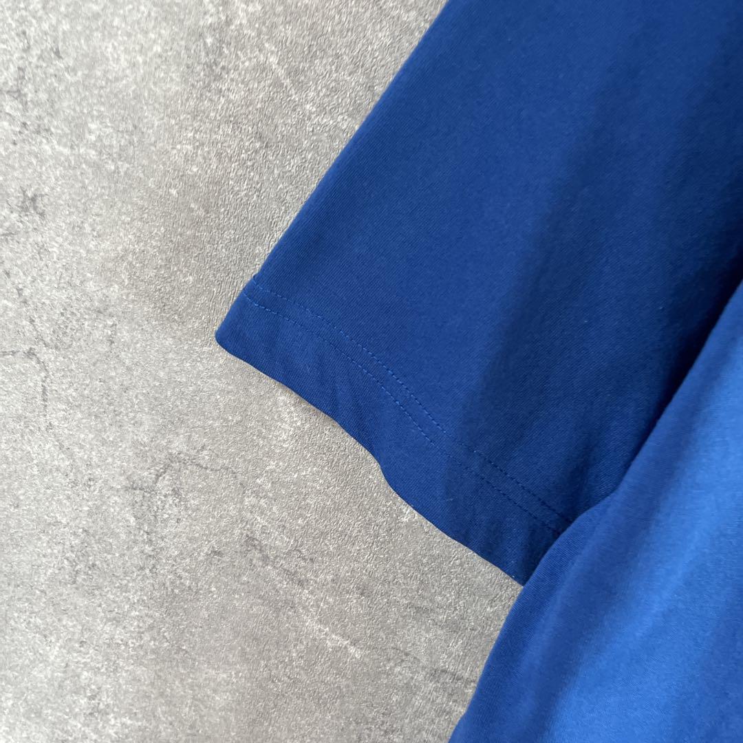 THE NORTH FACE Tシャツ　半袖　青系　Sサイズメンズ_画像7