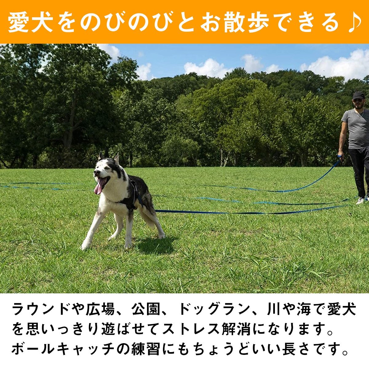 犬用 ロングリード 20m 幅2.5cm 耐荷重 50kg ブルー 青 ハーネス リード 散歩 紐 ナイロンベルト 小型 中型 大型犬 ペット 犬