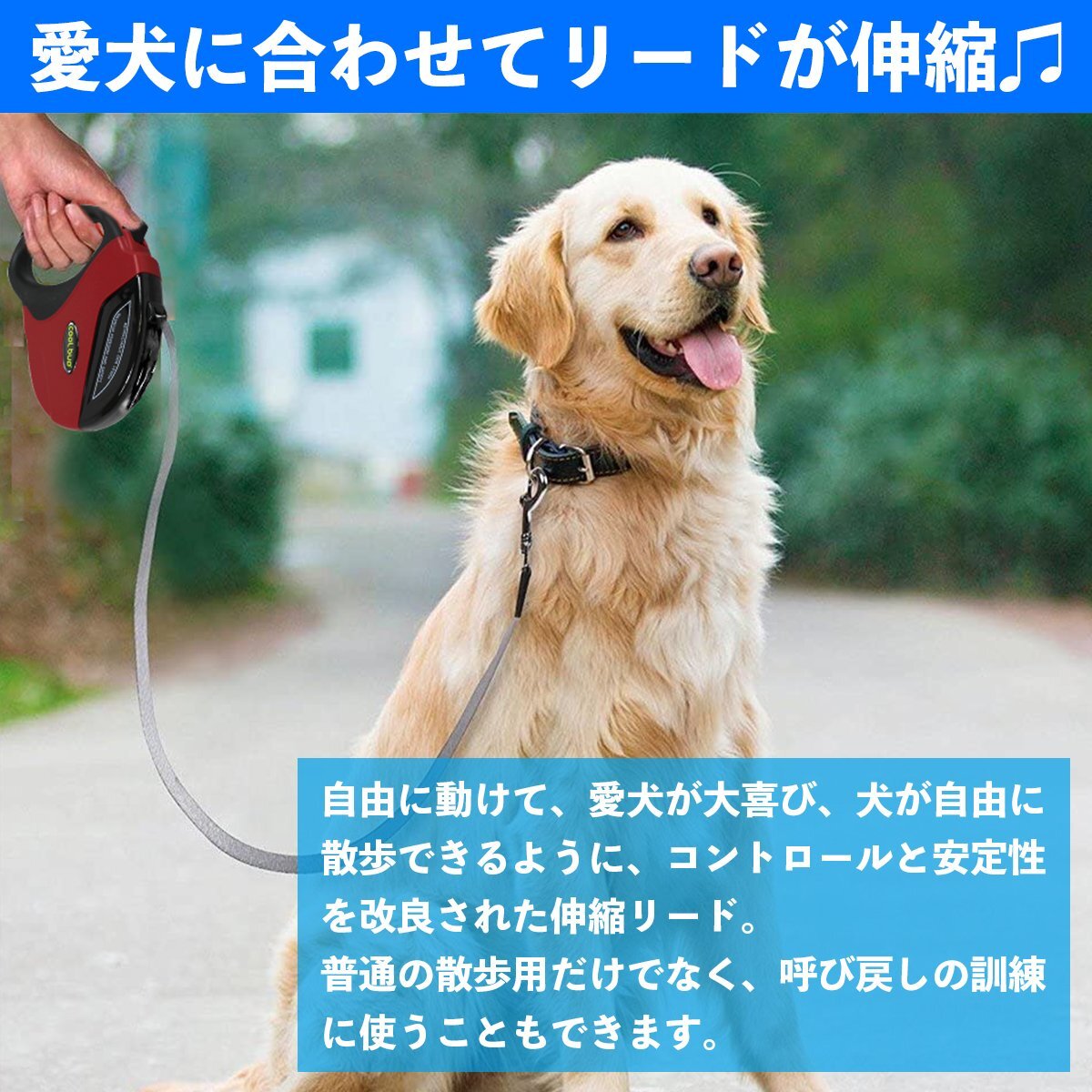 便利なロック機能付き！犬用伸縮リード 5ｍ/5メートル 自動巻き取り レッド 赤 散歩用リード コンパクト ペット用品 散歩グッズ
