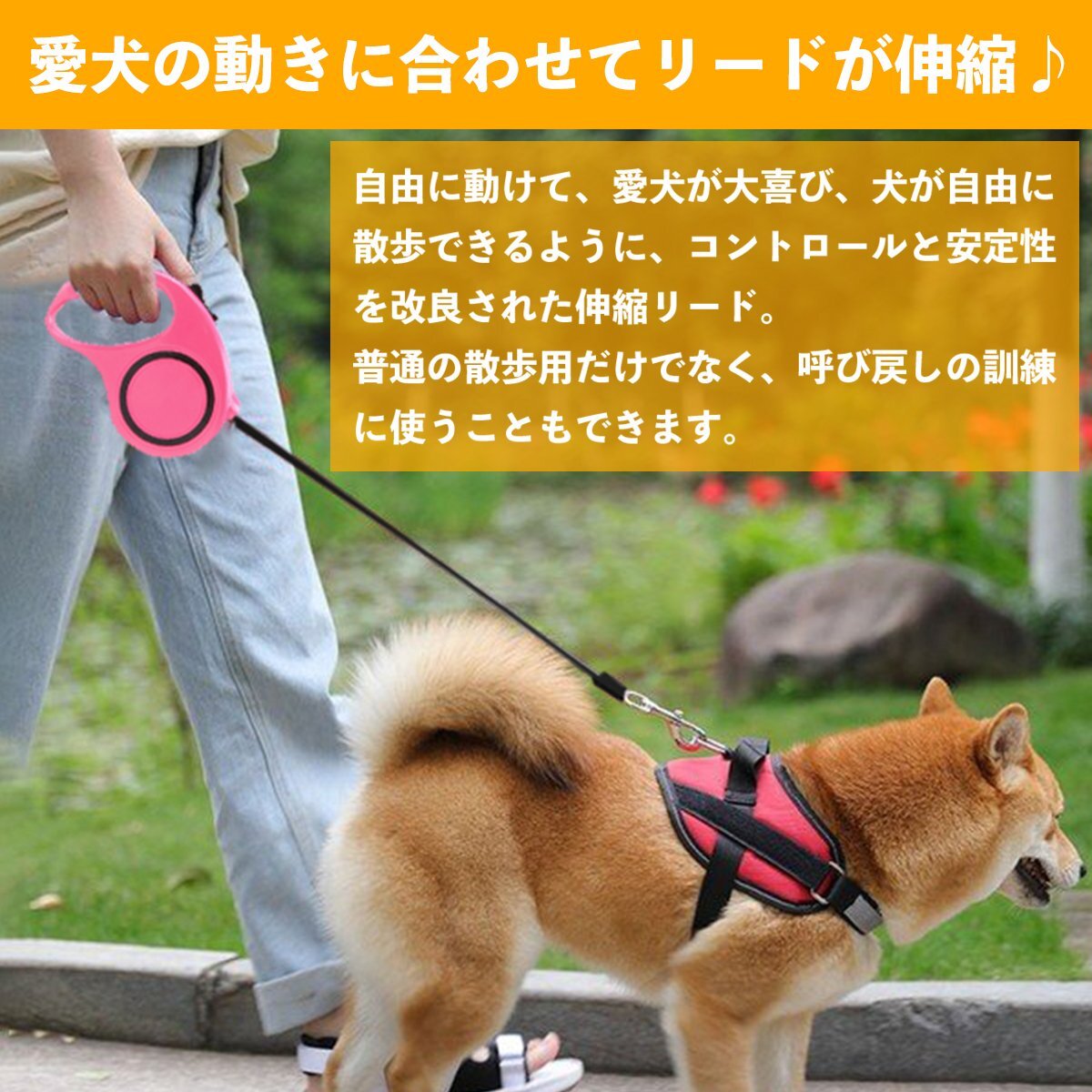 便利なロック機(jī)能付き！犬用伸縮リード 3ｍ/3メートル 自動(dòng)巻き取り ピンク 散歩用リード コンパクト ペット用品 散歩グッズ