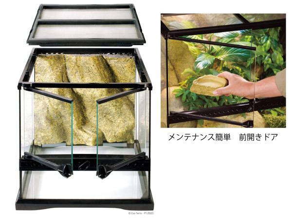 EXO TERRA стакан террариум 3030 PT2600 примерно ширина 31.5× глубина 31.5× высота 33cm дизайн . превосходный рептилии * земноводные клетка для разведения GEX бесплатная доставка