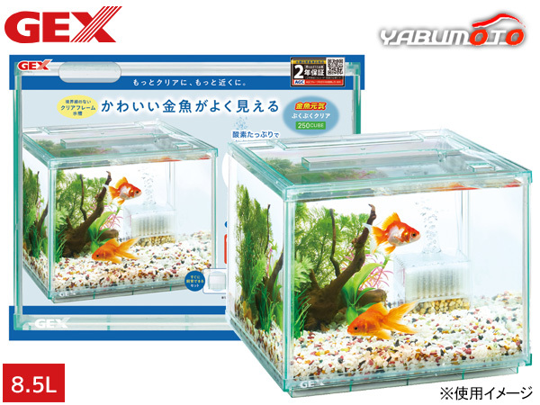 GEX 金魚元?dú)?ぶくぶくクリア 250CUBE 約 幅25×奧行25×高さ20cm 上からも楽しめる＆ロータイプのクリアフレーム水槽セット 送料無料