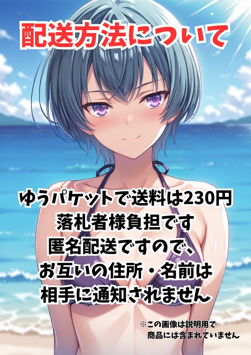 FX2291 音無(wú)響子 めぞん一刻 1點(diǎn)物 A4 ポスター アダルト 同人 パロディ 妄想 イラスト