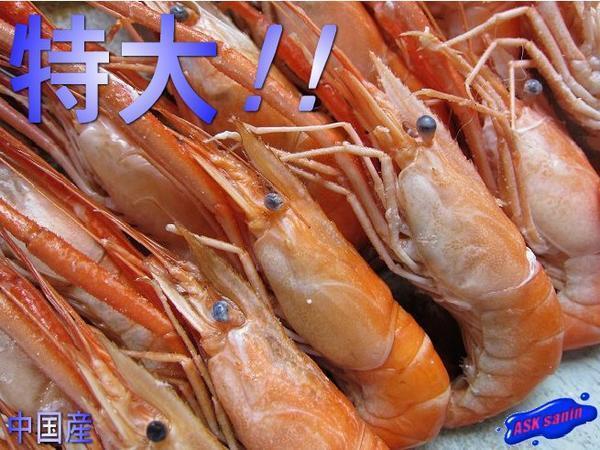 珍品珍味「手長海老（川エビ）500g」　ASK福袋訳業(yè)務(wù)用