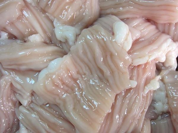 モツ鍋用「シマチョウ(大腸)　4.9kg」プロ用USA産/焼肉?BBQも
