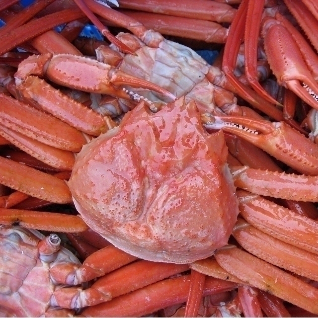 名人の【浜茹で蟹AA-5kg】★即納★境港直送!! -15尾位で5kg位-.「冷凍紅蟹5kg」