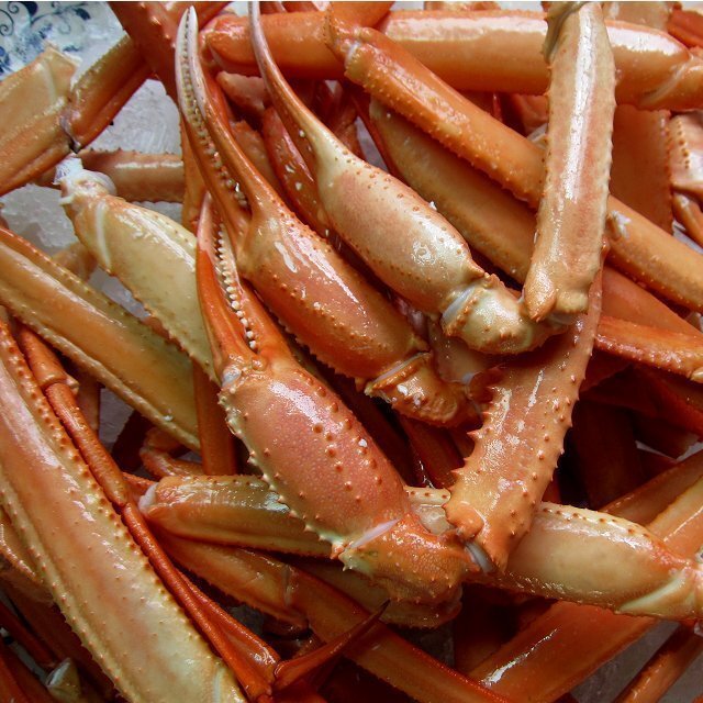 殻付き足3kg(冷凍)　蟹の本場(chǎng)、境港産