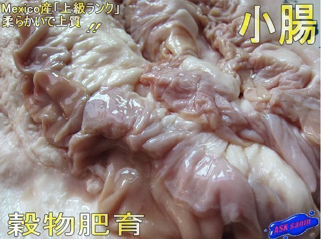 焼肉?BBQ「谷物肥育 小腸開キ 7kg」プロ用　メキシコ産　もちろんモツ鍋最高！！