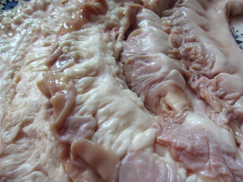 焼肉?BBQ「谷物肥育 小腸開キ 7kg」プロ用　メキシコ産　もちろんモツ鍋最高??！