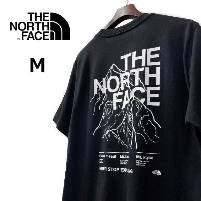 1円～!売切!【正規(guī)新品】THE NORTH FACE◆S/S NOVELTY GRAPHIC TEE 半袖 Tシャツ US限定 グラフィック ハーフドームロゴ(M)黒 180902-15
