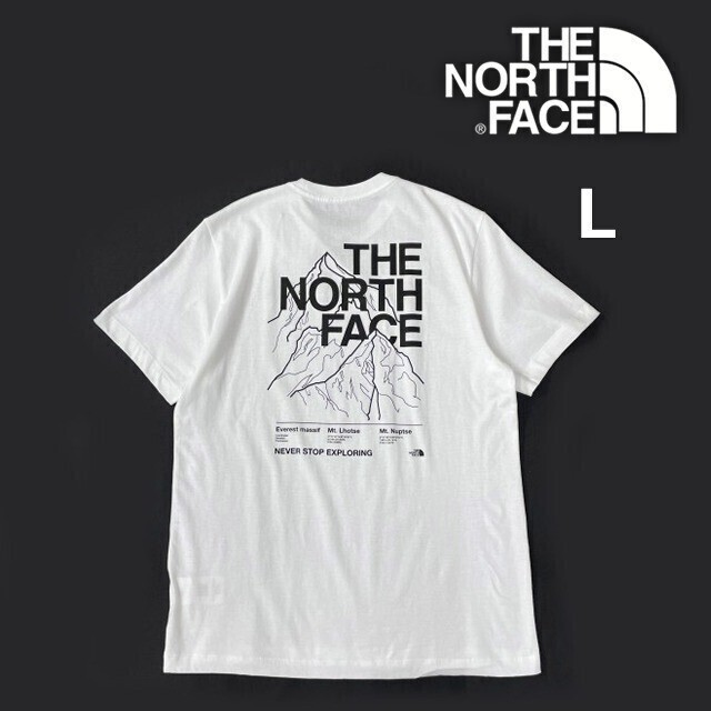 1円～!売切!【正規(guī)新品】THE NORTH FACE◆S/S NOVELTY GRAPHIC TEE 半袖 Tシャツ US限定 グラフィック ハーフドームロゴ(L)白 180902-15