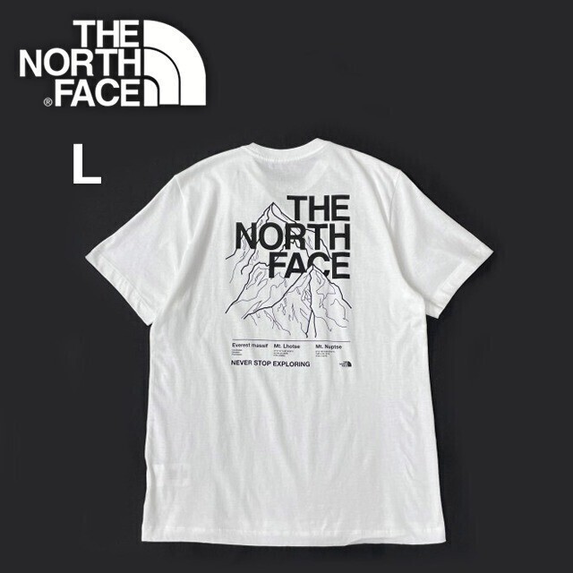 1円～!売切!【正規(guī)新品】THE NORTH FACE◆S/S NOVELTY GRAPHIC TEE 半袖 Tシャツ US限定 グラフィック ハーフドームロゴ(L)白 180902-15