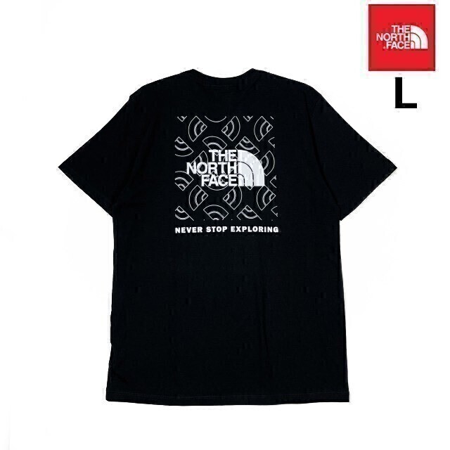 1円～!売切!【正規(guī)新品】THE NORTH FACE◆S/S BOX NSE TEE 半袖 Tシャツ US限定 ボックスロゴ グラフィック 男女兼用 登山(L)黒 180902-15