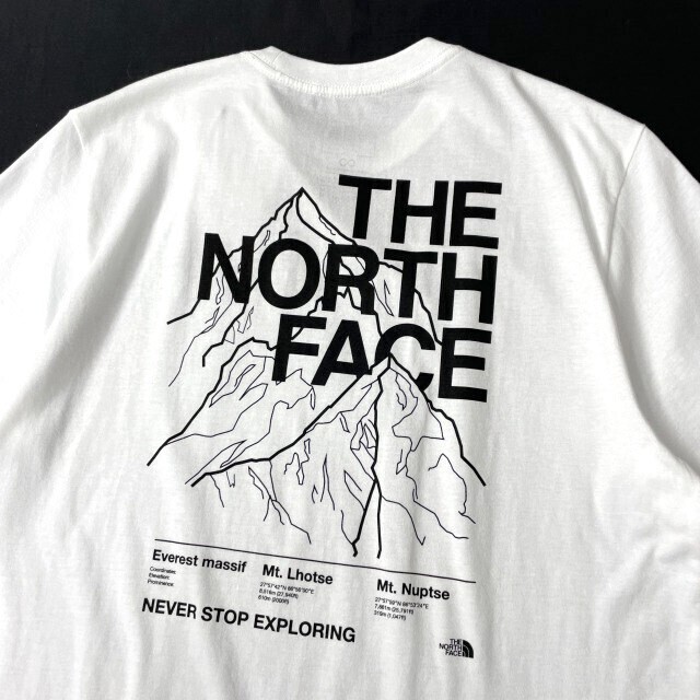 1円～!売切!【正規(guī)新品】THE NORTH FACE◆S/S NOVELTY GRAPHIC TEE 半袖 Tシャツ US限定 グラフィック ハーフドームロゴ(XL)白 180902-15