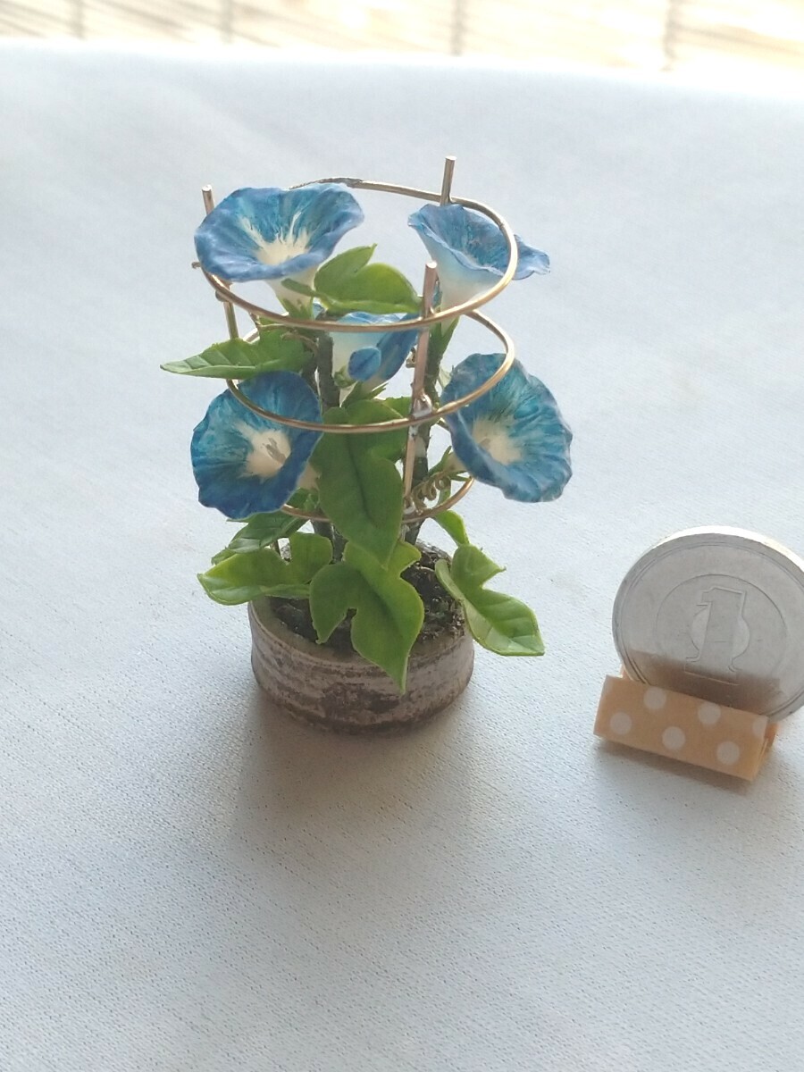 ＊mame＊ 朝顔 アサガオ ブルー系 ミニチュア 行燈仕立て 豆鉢 ドールハウス mi miniature flower morning glory