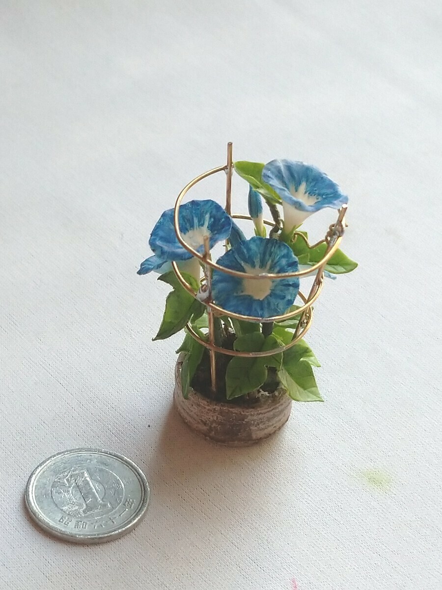 ＊mame＊ 朝顔 アサガオ ブルー系 ミニチュア 行燈仕立て 豆鉢 ドールハウス mi miniature flower morning glory