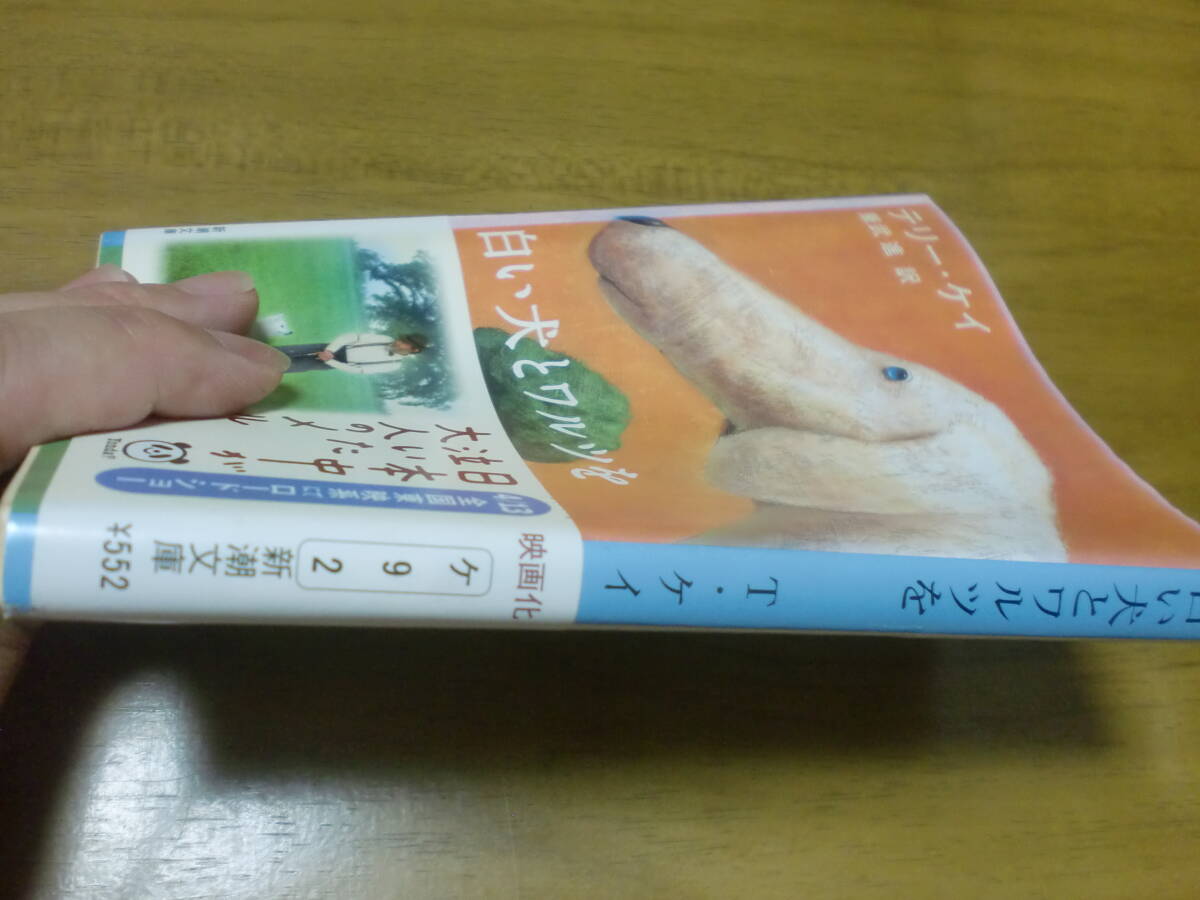 白い犬とワルツを (新潮文庫) テリーケイ,Terry Kay_画像3
