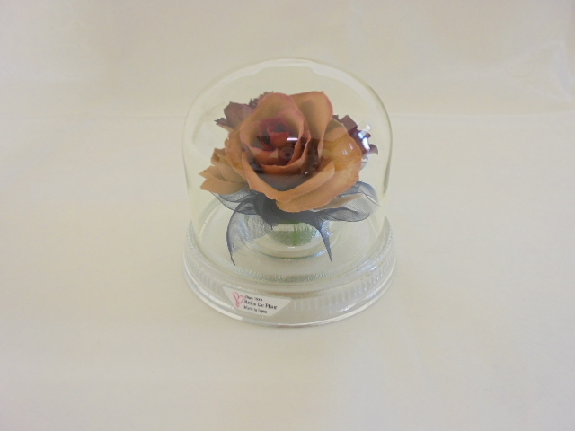 [KCM] Len te-12-PH-F* хранение товар *Reine De Fleur/ Len te поток ru сухой цветок стекло купол примерно φ10×9cm интерьер украшение произведение искусства 