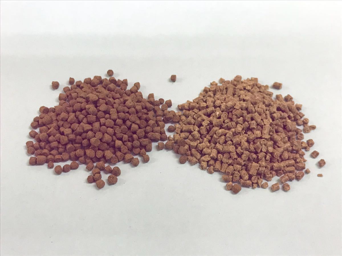 2㎜ペレット500g入り らんちゅう 土佐金 琉金に最適なエサ 高タンパク餌 消化吸収の良い餌 粉やクズの少ない高品質(zhì)な餌です