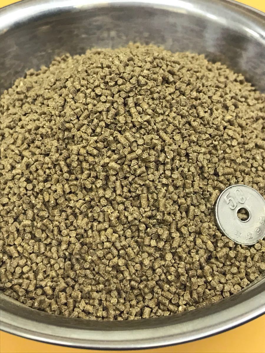 2㎜ペレット500g入り らんちゅう 土佐金 琉金に最適なエサ 高タンパク餌 消化吸収の良い餌 粉やクズの少ない高品質(zhì)な餌です