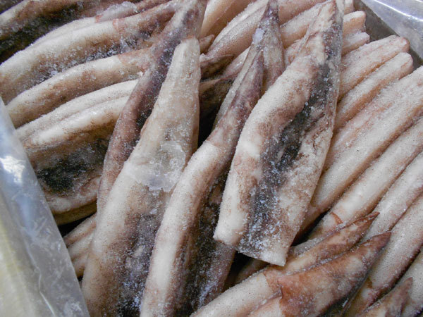 〔業(yè)務(wù)用大量?お買い得〕〔送料無料〕國(guó)産つぼぬきいか7.5ｋｇ前后（60～80尾）〔E〕北港直販☆イカ?いか☆