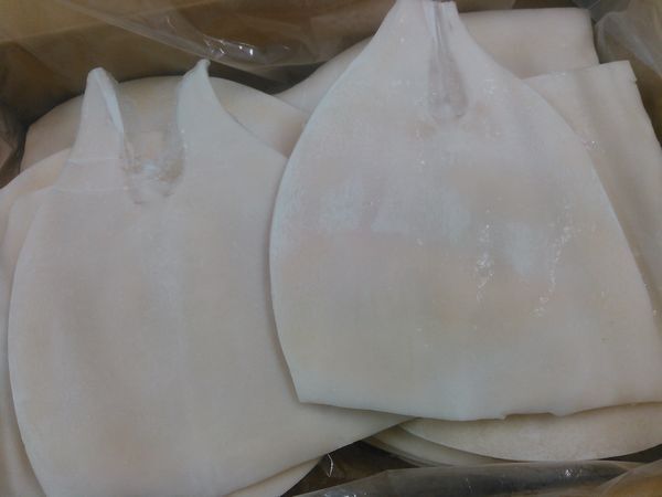 〔送料無(wú)料〕〔業(yè)務(wù)用大量?お買い得〕ムラサキイカ（赤イカ）ベタ10ｋｇセット（10～20枚）〔E〕北港直販?烏賊?紫いか?赤いか