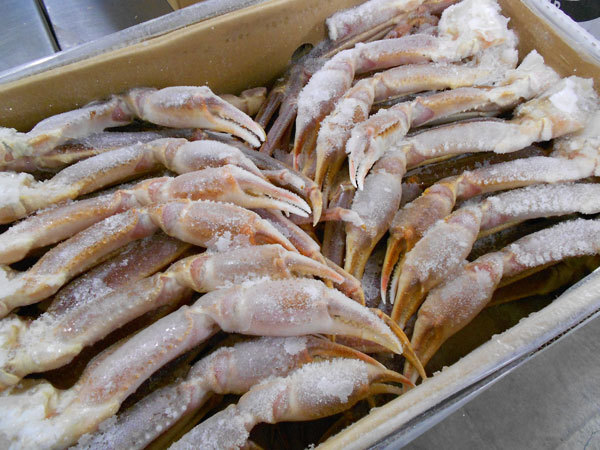 生冷ズワイガニ腳（足）セクション2ｋｇ（5～10肩前后）〔K〕北港直販?ずわいがに?蟹