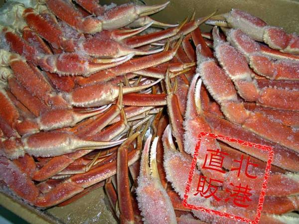 〔送料無料〕〔業(yè)務(wù)用大量?お買い得〕冷凍ボイルズワイガニセクション（腳）5ｋｇ〔K〕北港直販☆ずわい?カニ?蟹?かに☆