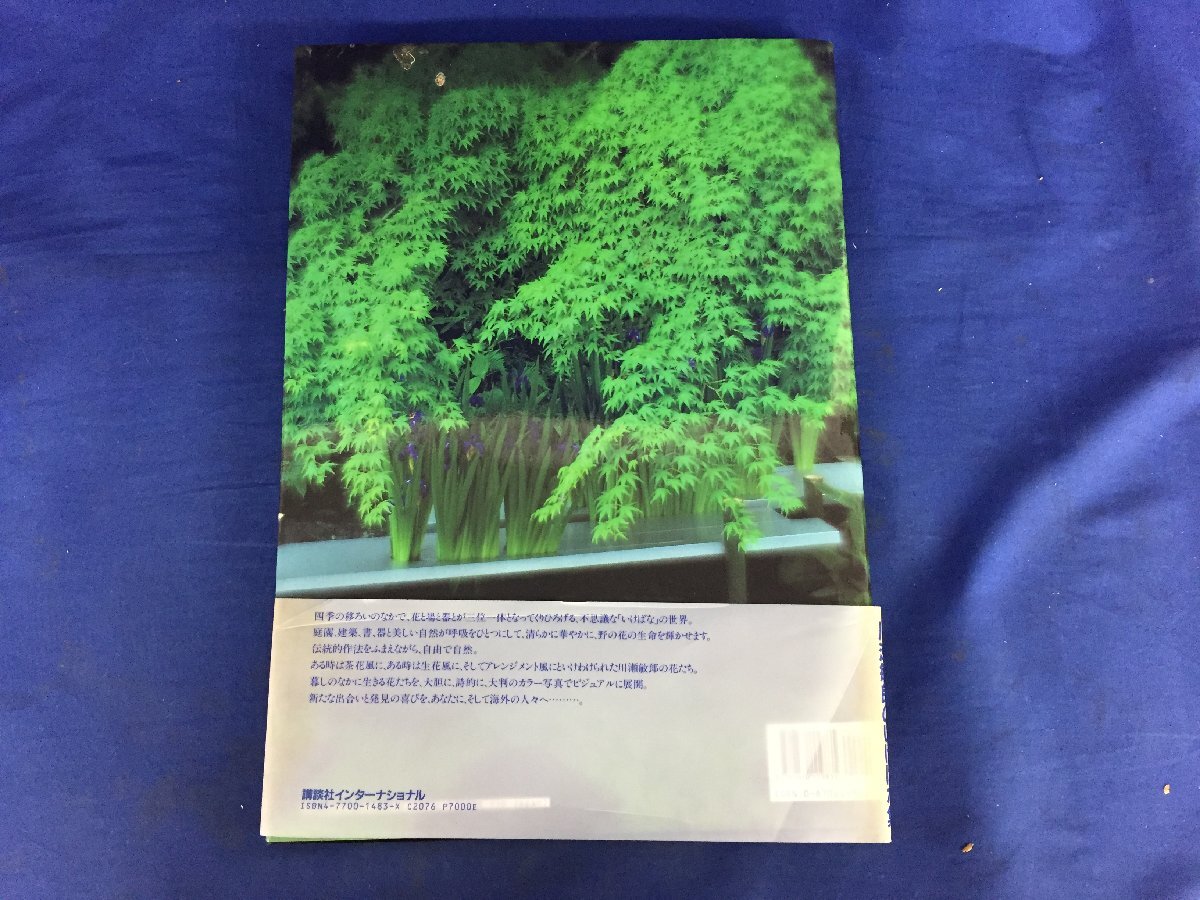 ★３６―２１７★書(shū)籍　[川瀬敏郎のいけばな集] Inspired Flower Arrangements 帯付き 図版 寫真集 資料 解説書(shū) 華道 盆栽 [80]