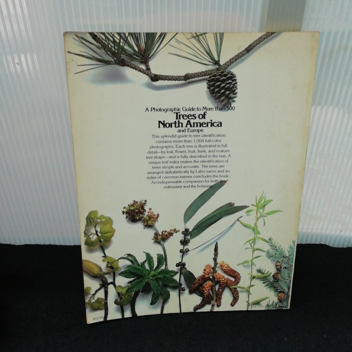 item_image_5