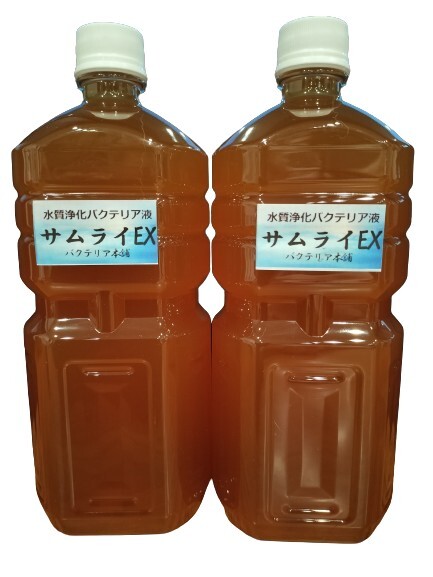 【バクテリア本舗】PSB強(qiáng)化型「サムライEX」（2L）水質(zhì)浄化復(fù)合バクテリア液　～らんちゅう,金魚(yú),錦鯉,めだか,シュリンプ,熱帯魚(yú),海水魚(yú)～