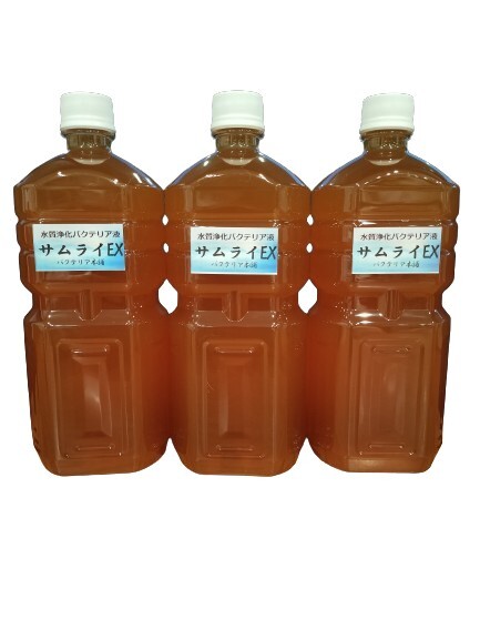 【バクテリア本舗】PSB強(qiáng)化型「サムライEX」（3L）水質(zhì)浄化復(fù)合バクテリア液　～らんちゅう,金魚,めだか,シュリンプ,熱帯魚,海水魚～