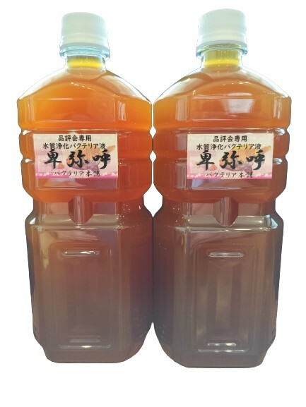 【バクテリア本舗】PSB強(qiáng)化型「卑彌唿」（2L）水質(zhì)浄化復(fù)合バクテリア液～らんちゅう,金魚,めだか,シュリンプ,熱帯魚,海水魚,アロワナ～