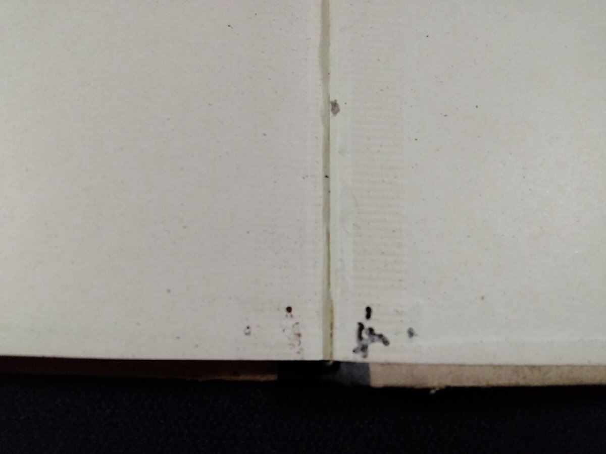 ｖΩ　Leitfaden fr den ersten Unterricht im Deutschen.　ドイツ語　1899年　古書/A19