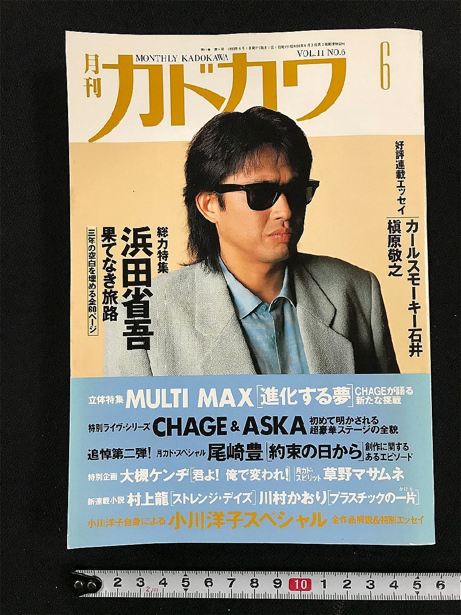ｗΩ*　月刊カドカワ　VOL.11　No.6　1993年6月　総力特集 浜田省吾 果てなき旅路　角川書店　古書 / f-d01