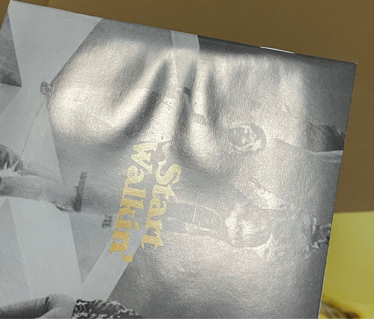 送料込 Nancy Sinatra - Start Walkin' 1965-1976 輸入盤CD / LITA19522