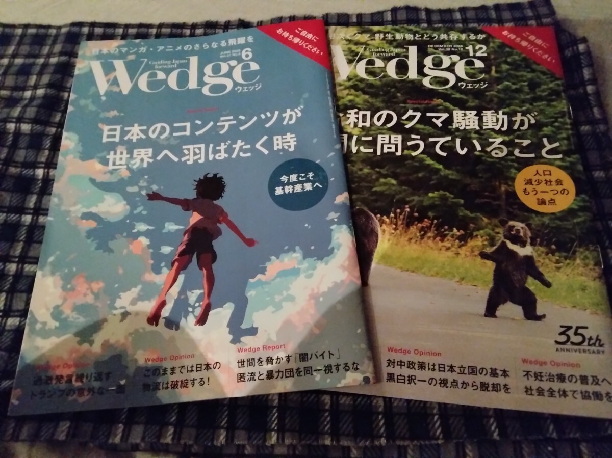 雑志W(wǎng)edge 6月號(hào)　オマケつき