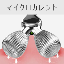 送料無料 美顔ローラー HOSCARER IPX7防水 EMS マイクロカレント 新品 未開封