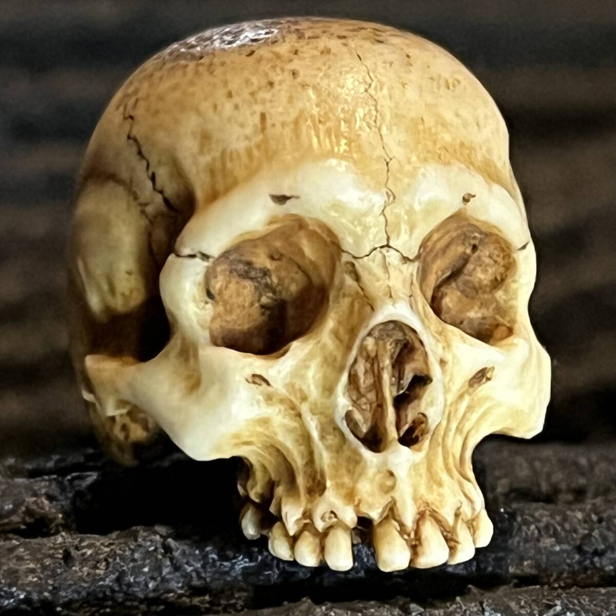 根付 野曬し 髑髏 鹿角彫り 刻銘有 ドクロ 骸骨 しゃれこうべ 頭蓋骨 スカル Skull Netsuke 叺 印籠 煙草入 胴亂 袋物 莨入 腰提げ 提げ物