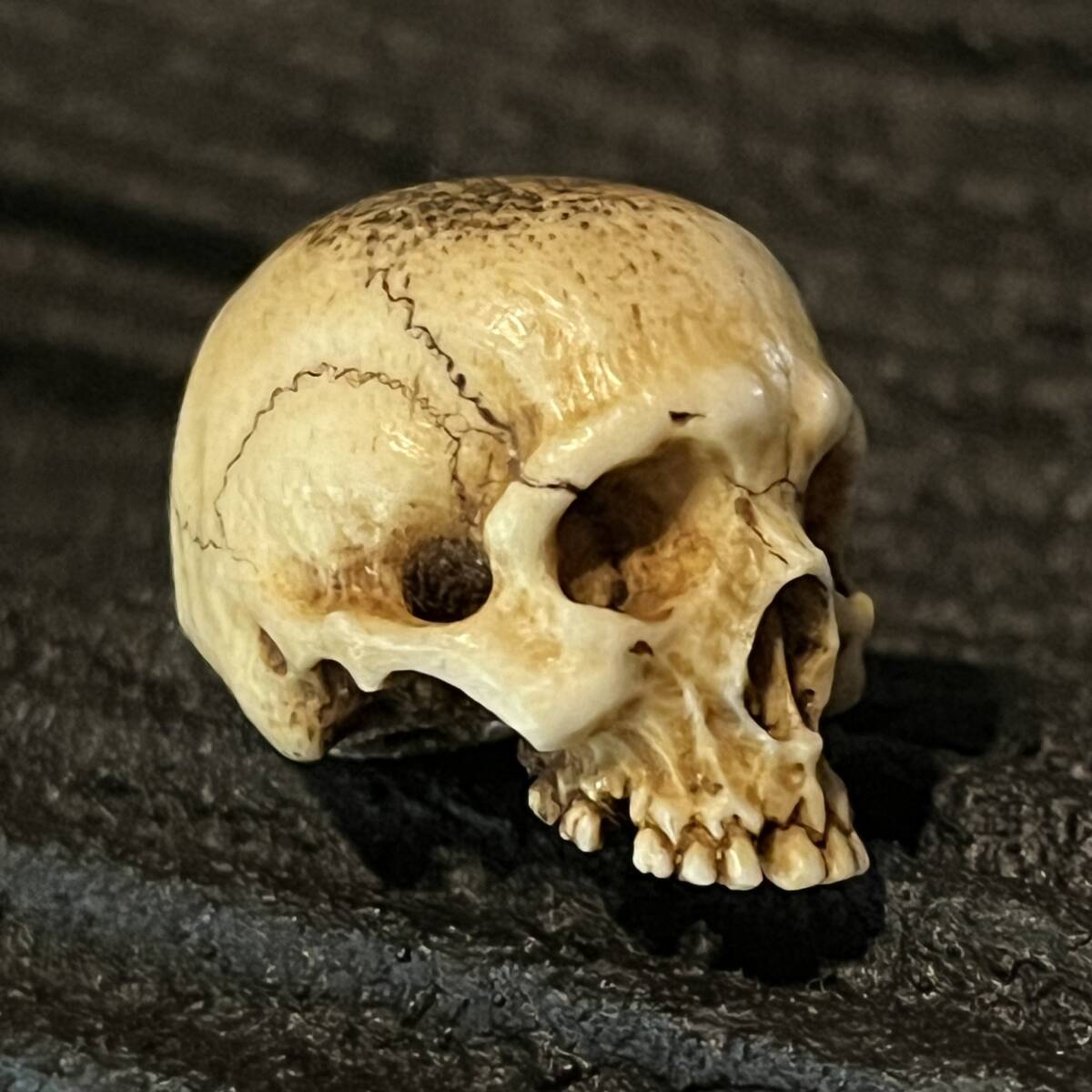 根付 野曬し 髑髏 鹿角彫り 刻銘有 ドクロ 骸骨 しゃれこうべ 頭蓋骨 スカル Skull Netsuke 叺 印籠 煙草入 胴亂 袋物 莨入 腰提げ 提げ物