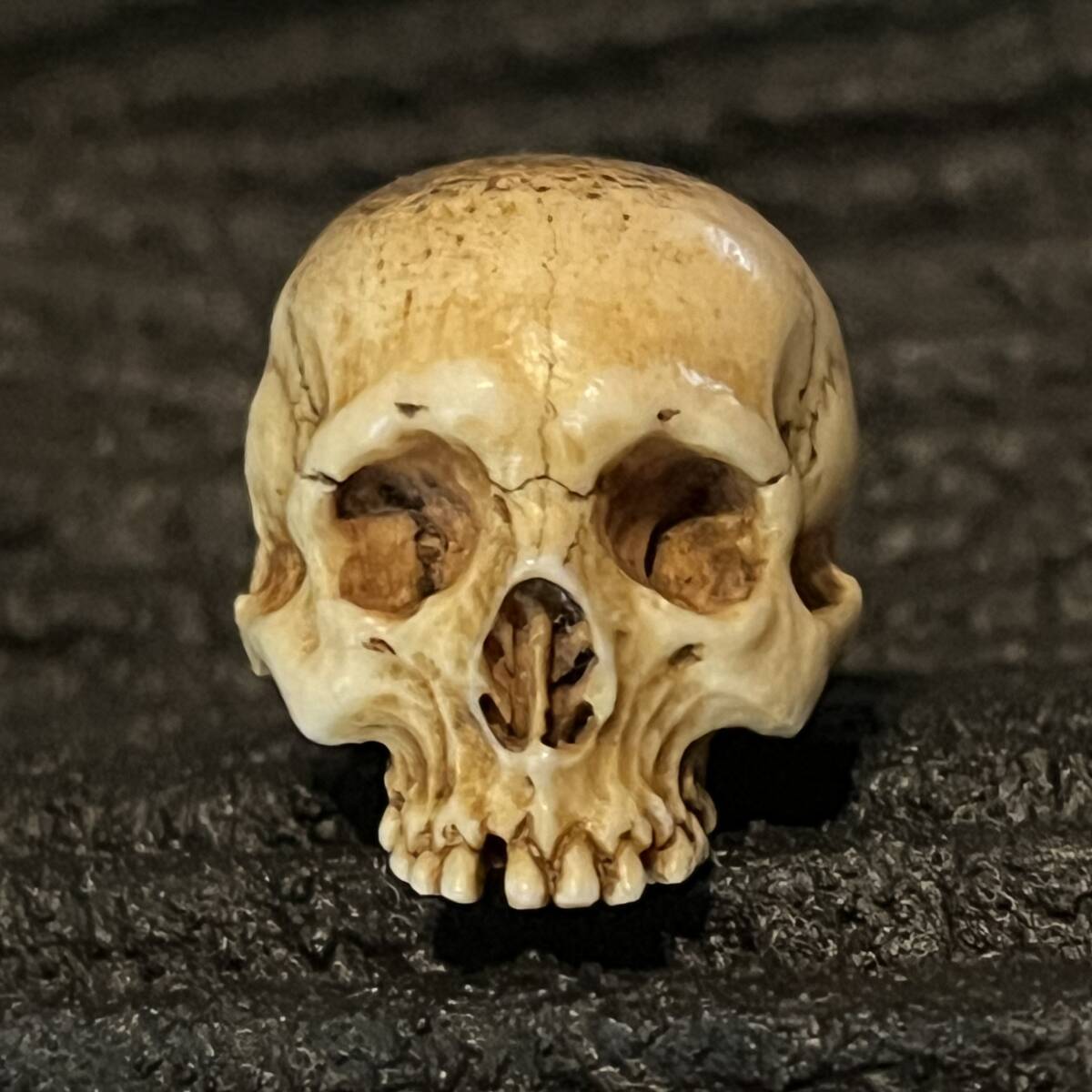 根付 野曬し 髑髏 鹿角彫り 刻銘有 ドクロ 骸骨 しゃれこうべ 頭蓋骨 スカル Skull Netsuke 叺 印籠 煙草入 胴亂 袋物 莨入 腰提げ 提げ物