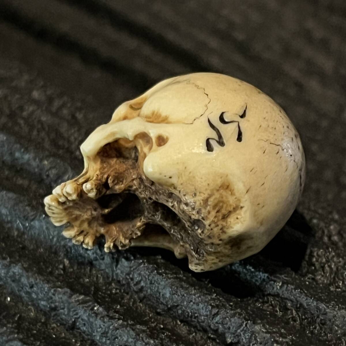 根付 野曬し 髑髏 鹿角彫り 刻銘有 ドクロ 骸骨 しゃれこうべ 頭蓋骨 スカル Skull Netsuke 叺 印籠 煙草入 胴亂 袋物 莨入 腰提げ 提げ物