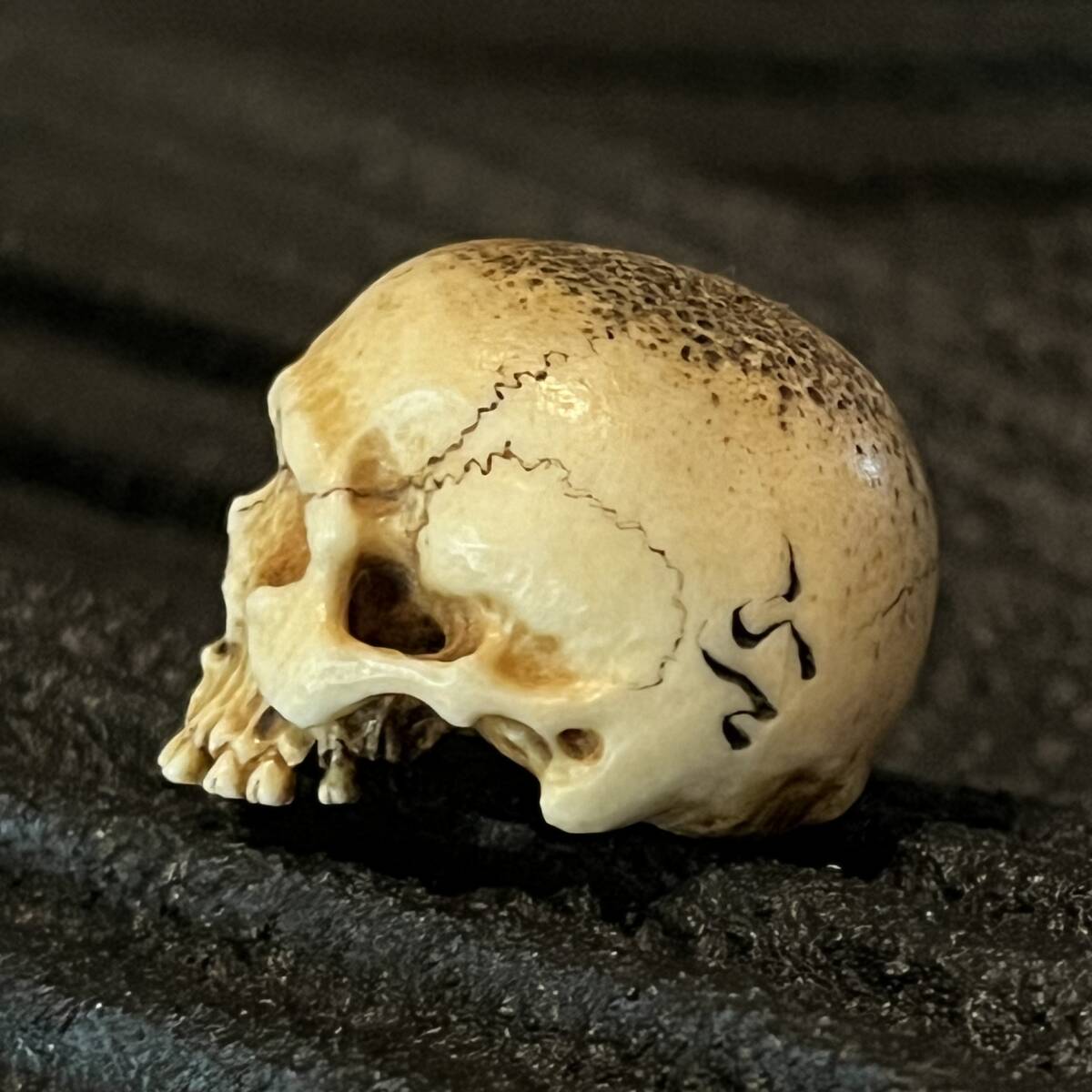 根付 野曬し 髑髏 鹿角彫り 刻銘有 ドクロ 骸骨 しゃれこうべ 頭蓋骨 スカル Skull Netsuke 叺 印籠 煙草入 胴亂 袋物 莨入 腰提げ 提げ物