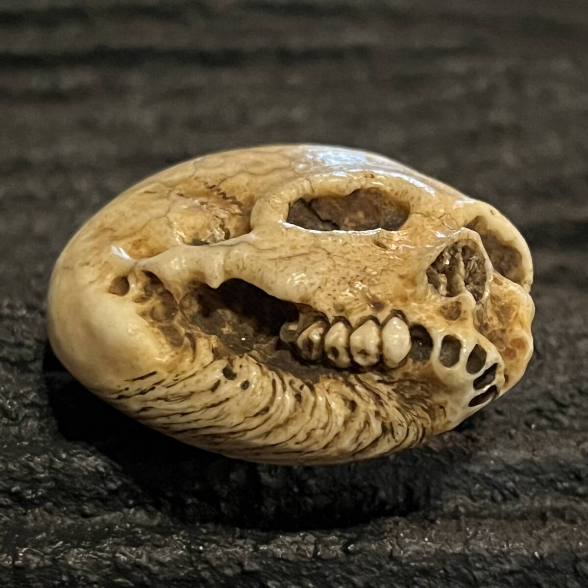 ...... голова netsuke олень угол резьба по дереву цветок вдавлено . коробка череп каркас ...... голова крышка . Skull Skull Manju Netsuke. кейс для печати дым . входить туловище . поясница ... предмет 