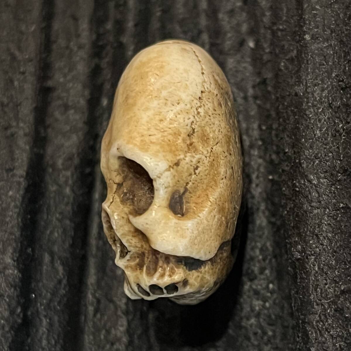 ...... голова netsuke олень угол резьба по дереву цветок вдавлено . коробка череп каркас ...... голова крышка . Skull Skull Manju Netsuke. кейс для печати дым . входить туловище . поясница ... предмет 